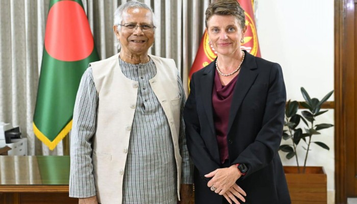 জাতিসংঘ ফেব্রুয়ারির সাধারণ নির্বাচনকে পূর্ণ সমর্থন করে : গুইন লুইস