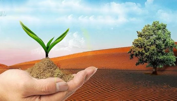 সাফল্যের নীরব বাহন উত্তম চরিত্র