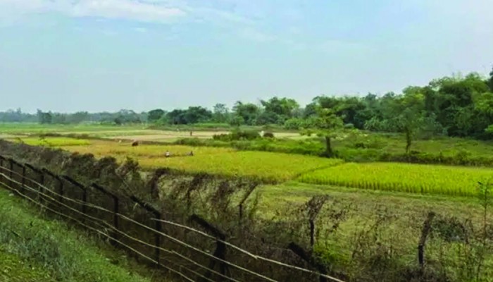 ভারতের ত্রিপুরায় তিন বাংলাদেশিকে পিটিয়ে হত্যা