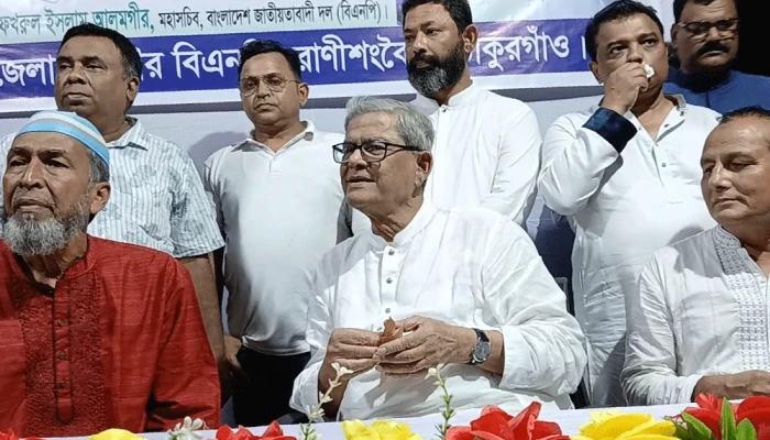 বিএনপি জুলাই সনদে সই করবে কি না, জানতে অপেক্ষা করতে বললেন মির্জা ফখরুল