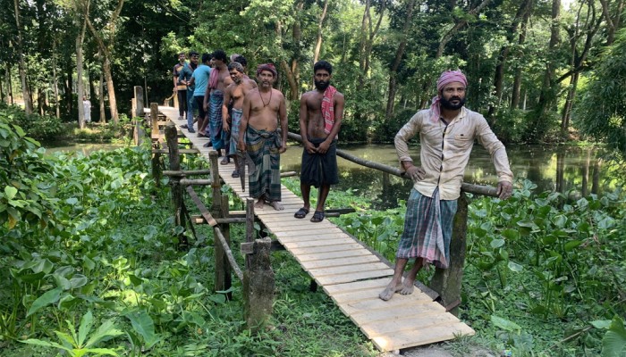 তিন দশকেও নির্মাণ হয়নি ব্রিজ, যাতায়াতে ভরসা কাঁচা কাঠের সাঁকো
