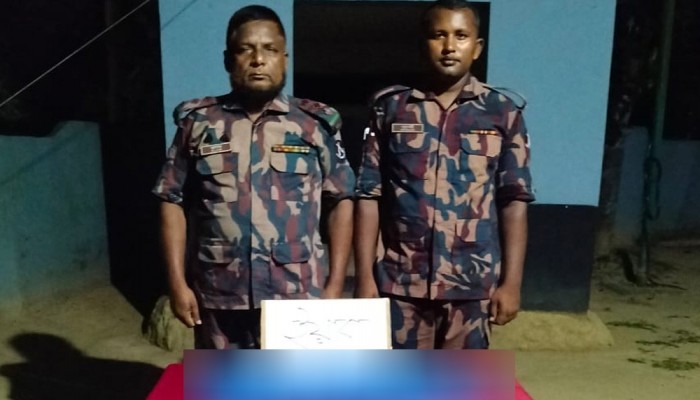 উখিয়ায় পৃথক অভিযানে ৫০ হাজার ইয়াবা উদ্ধার
