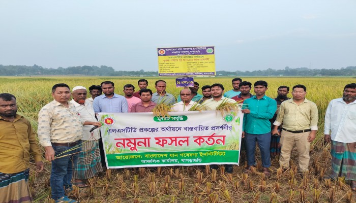 ​এলএসএসটিডি প্রকল্পের ব্রি ধান১০৩ এর সফল ফসল কর্তন ও মাঠ দিবস পালিত