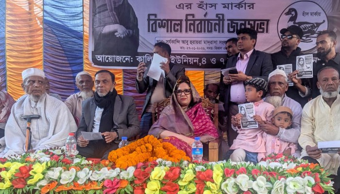 ১২ তারিখের ভোট পুরো রাজনীতির চেহারাও পাল্টে দিতে পারে : রুমিন ফারহানা